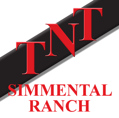 TNT Simmentals